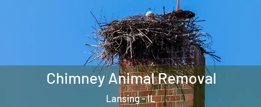 Chimney Animal Removal Lansing - IL