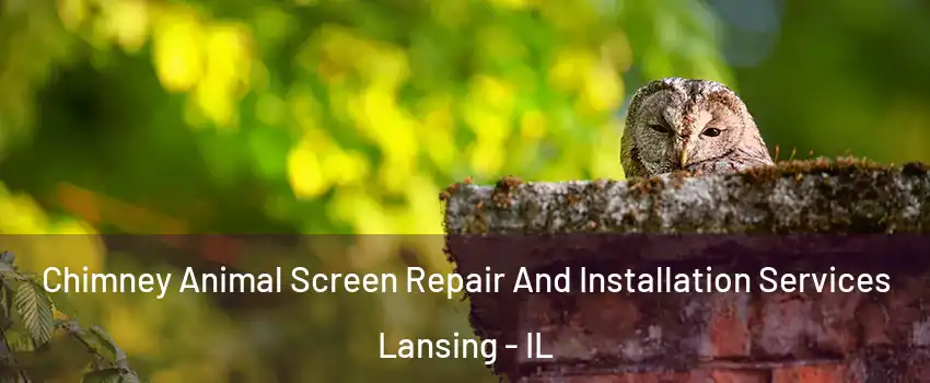  Chimney Animal Screen Repair And Installation Services Lansing - IL