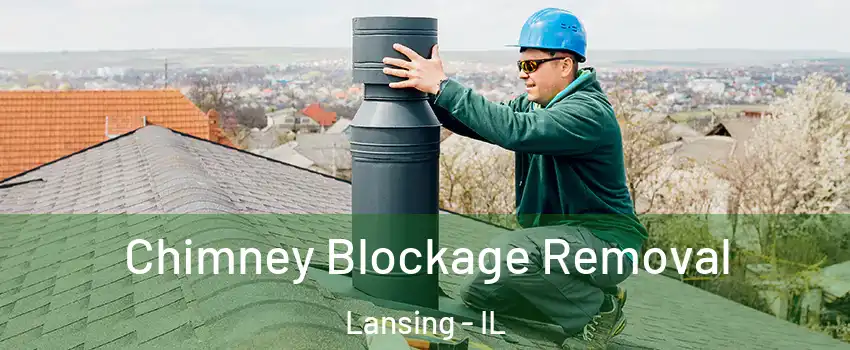  Chimney Blockage Removal Lansing - IL