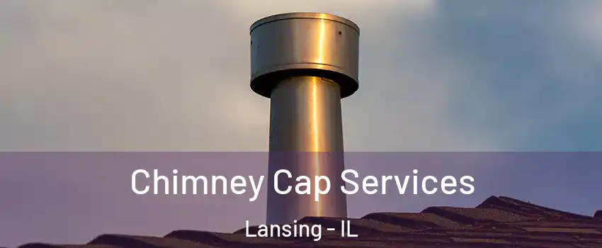  Chimney Cap Services Lansing - IL