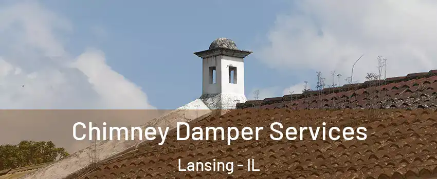  Chimney Damper Services Lansing - IL