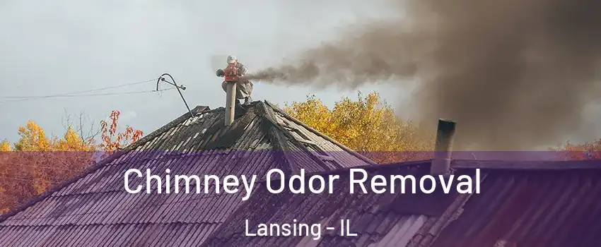  Chimney Odor Removal Lansing - IL