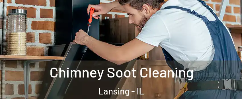  Chimney Soot Cleaning Lansing - IL