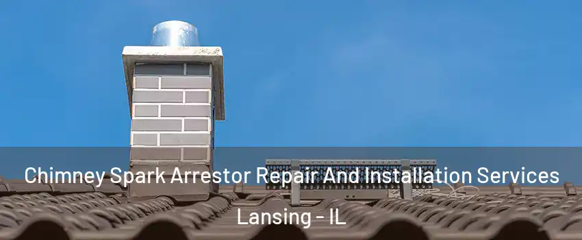  Chimney Spark Arrestor Repair And Installation Services Lansing - IL
