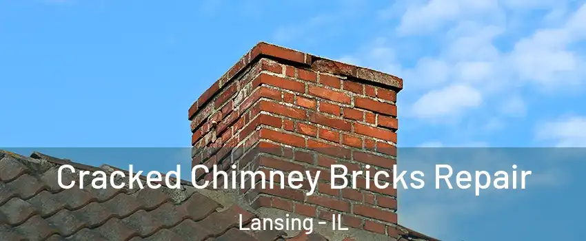  Cracked Chimney Bricks Repair Lansing - IL