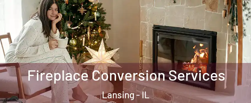  Fireplace Conversion Services Lansing - IL