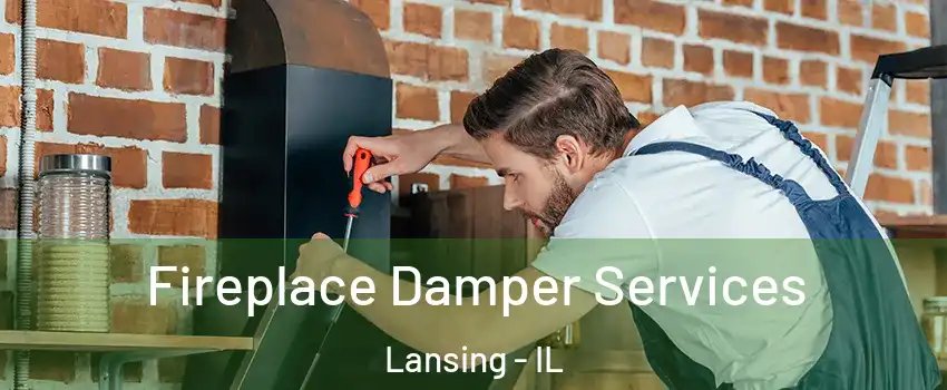  Fireplace Damper Services Lansing - IL