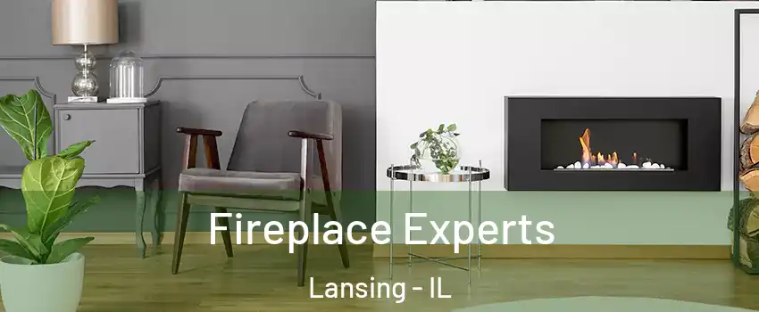  Fireplace Experts Lansing - IL