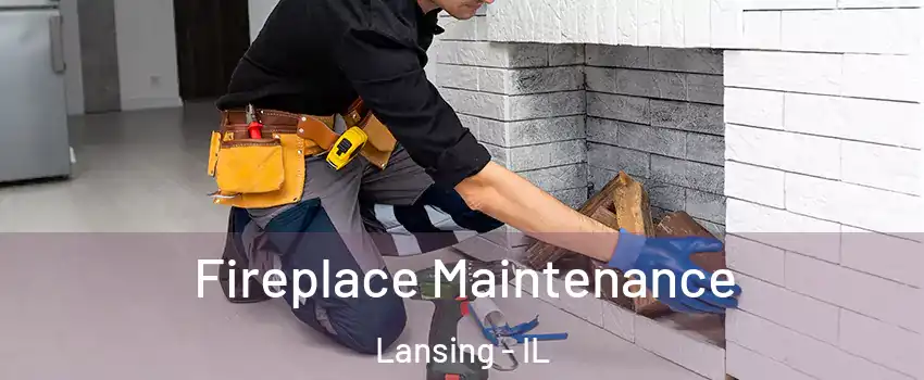  Fireplace Maintenance Lansing - IL