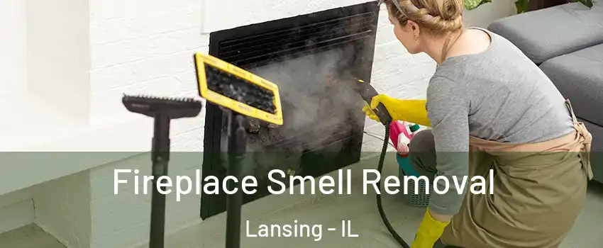  Fireplace Smell Removal Lansing - IL