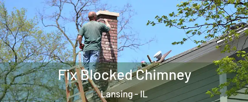  Fix Blocked Chimney Lansing - IL