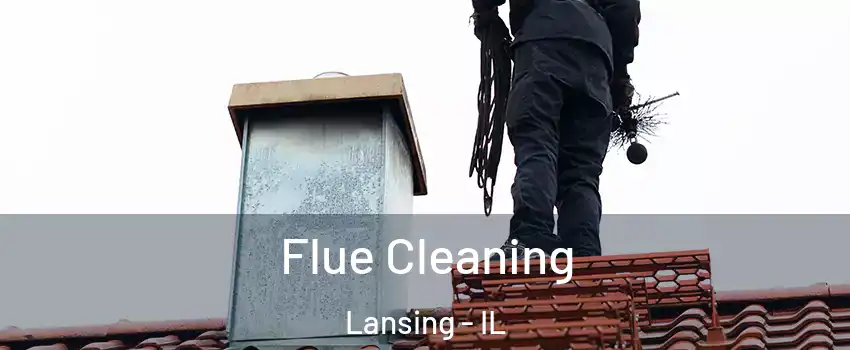  Flue Cleaning Lansing - IL