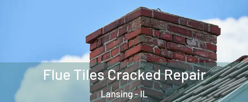  Flue Tiles Cracked Repair Lansing - IL