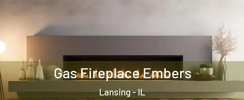  Gas Fireplace Embers Lansing - IL