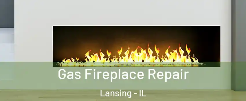  Gas Fireplace Repair Lansing - IL