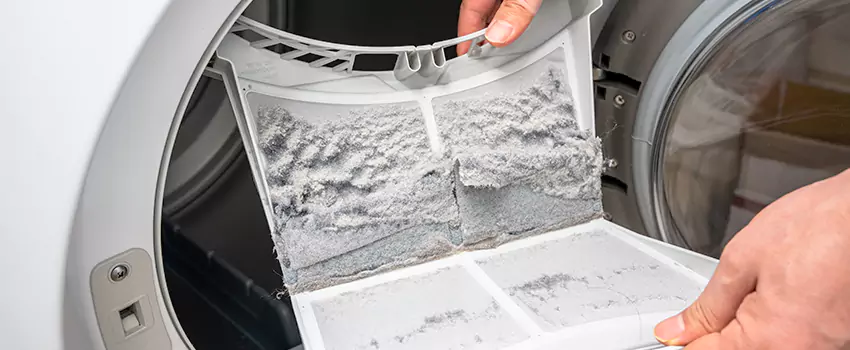 Best Dryer Lint Removal Company in Lansing, Illinois