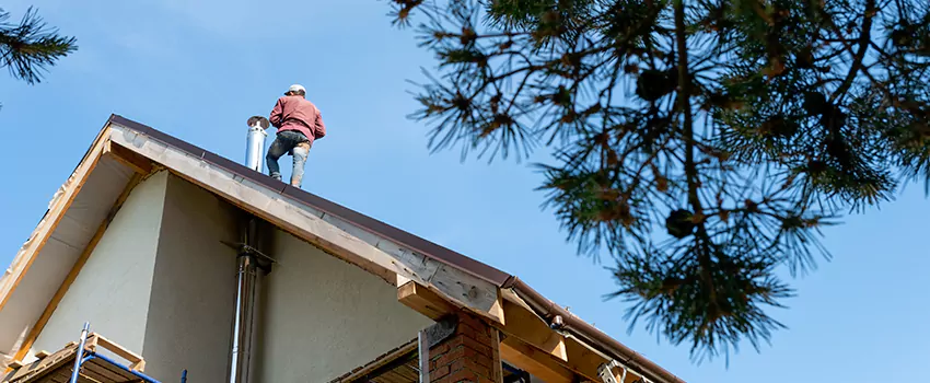 Birds Removal Contractors from Chimney in Lansing, IL