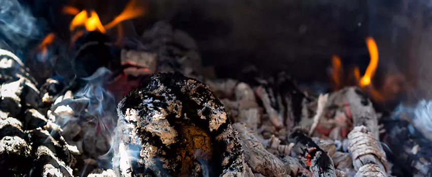 Creosote Removal Experts in Lansing, IL