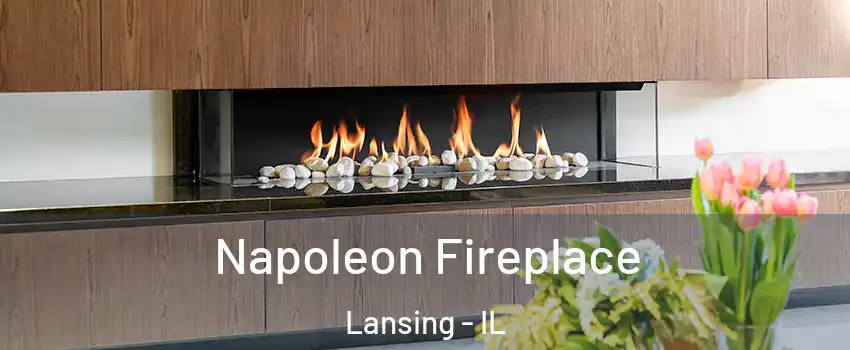  Napoleon Fireplace Lansing - IL