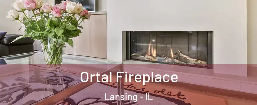 Ortal Fireplace Lansing - IL